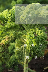 徐州請(qǐng)債務(wù)律師 徐州要債公司電話