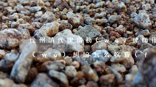 徐州請代理債務(wù)律師 律師代理債務(wù)糾紛怎么收費(fèi)