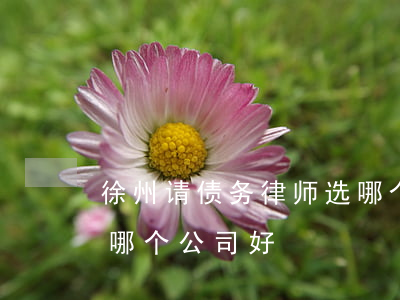 徐州请债务律师选哪个-徐州请债务律师选哪个公司好