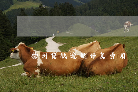 徐州贷款逾期修复费用