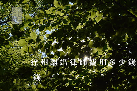 徐州離婚律師費用多少錢(離婚案律師費多少錢)