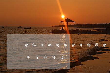 徐汇代理债务官司律师(徐汇区律师事务所民事诉讼排名)