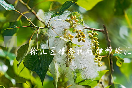 徐汇区债务执行律师(徐汇欠款律师)