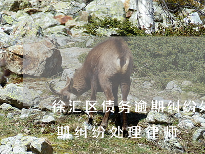 徐汇区债务逾期纠纷处理律师 徐汇区债务逾期纠纷处理律师