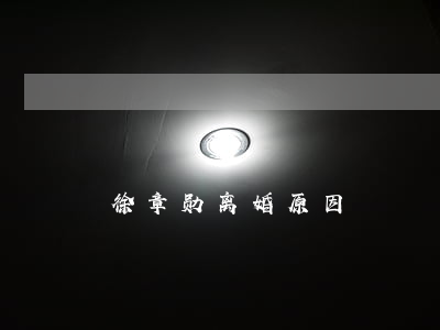 徐章勋离婚原因