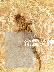 徐靈菱律師為什么不在錦天城(錦天城 徐律師)