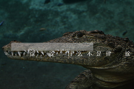 徐靈菱為什么不是律師(徐靈菱為什么不是律師)