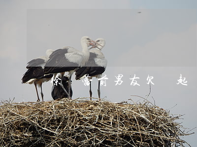 徐靜蕾前男友欠錢起訴(徐靜蕾前老公)