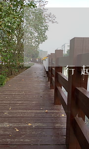徑行起訴是什么意思(徑行判決什么意思)