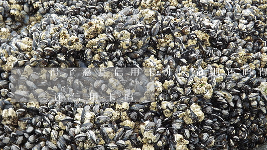 得了癌症信用卡可以逾期还吗 得了癌症还要还信用卡吗