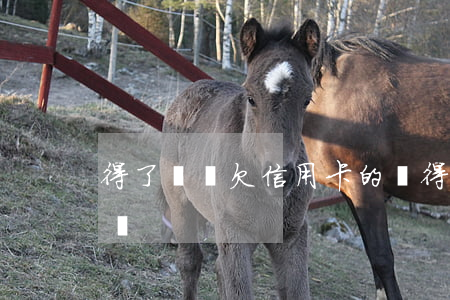 得了絕癥欠信用卡的錢(得了絕癥欠信用卡的錢)
