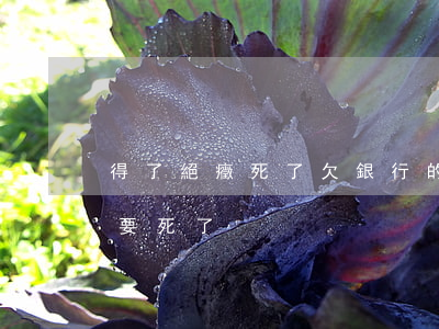 得了絕癥死了欠銀行的錢怎么辦-得了絕癥要死了
