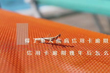 得了重大疾病信用卡逾期怎么辦(因特殊原因信用卡逾期幾年后怎么辦)