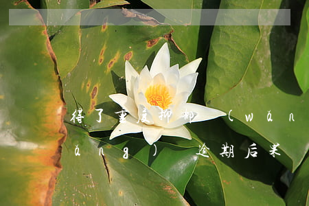 得了重度抑郁網(wǎng)貸逾期(網(wǎng)貸逾期后果嚴重嗎)