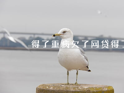 得了重病欠了网贷(得了重大疾病网贷还不上)