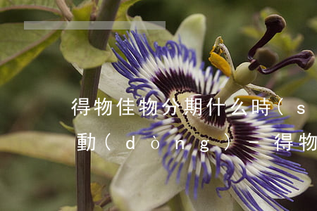 得物佳物分期什么時(shí)候有免息活動(dòng)-得物佳物分期每月什么時(shí)候還