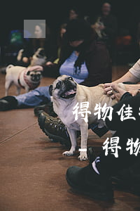 得物佳物分期逾期一天會(huì)怎么樣-得物的佳物分期逾期會(huì)怎么樣