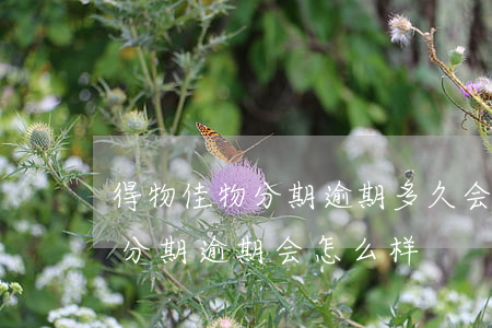 得物佳物分期逾期多久会上征信-得物佳物分期逾期会怎么样