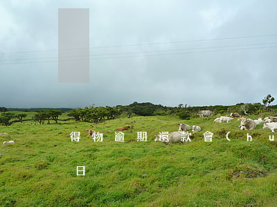 得物逾期還款會(huì)怎么樣(得物還款日)