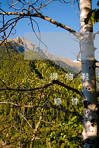 得物鞋子分期免息嗎(得物分期付款需要什么條件)
