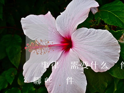 從事律師需要什么條件(想做一名律師要具備哪些條件)