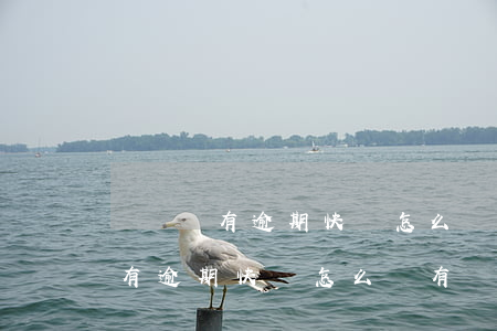 從來沒有逾期快貸怎么沒有額度了-從來沒有逾期快貸怎么沒有額度了呢