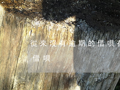 從來沒有逾期的借唄有哪些（從來沒有逾期的借唄）