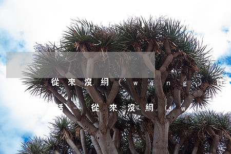 從來沒網(wǎng)貸過接到逾期催還電話-從來沒網(wǎng)貸過接到逾期催還電話怎么辦