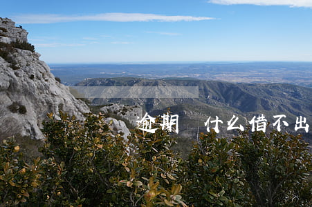 從來沒逾期為什么借不出錢了