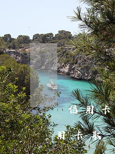 從信用卡取現(xiàn)怎么還沒到賬（信用卡取現(xiàn)還不起最低）