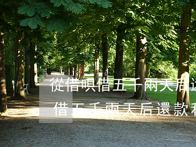 從借唄借五千兩天后還款利息多少-從借唄借五千兩天后還款利息多少錢