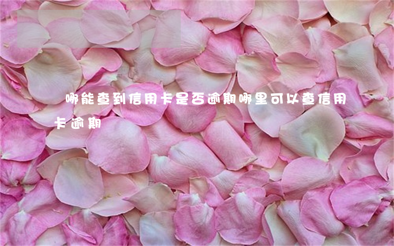 從哪能查到信用卡是否逾期(哪里可以查信用卡逾期)