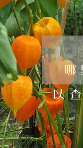 從哪里可以查到法院判決的判決書(在哪里可以查到法院判決書內容)