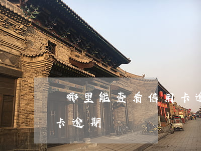 從哪里能查看信用卡逾期(怎么查有沒有信用卡逾期)