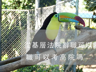 從基層法院辭職可以考高院嗎(從基層法院辭職可以考高院嗎)