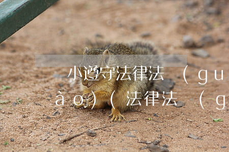 從小遵守法律法規(guī)的手抄報(bào)(法律法規(guī)的手抄報(bào),急)