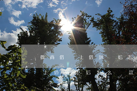 從微商借唄上借到錢后怎么還款-從微商借唄上借到錢后怎么還款呢