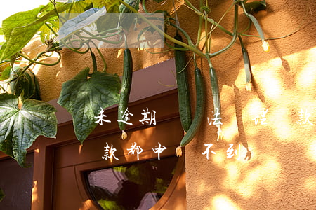 從未逾期卻無法辦理貸款(沒有逾期為啥各種貸款都申請不到?)