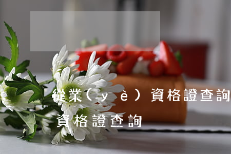 從業(yè)資格證查詢(會計從業(yè)資格證查詢)