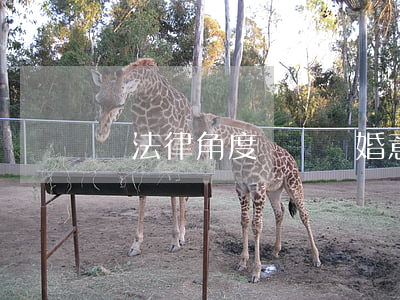 從法律角度來說結婚意味著什么