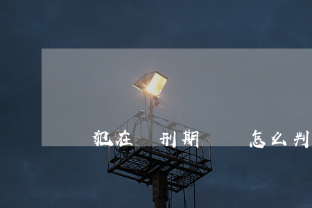 從犯在緩刑期內該怎么判