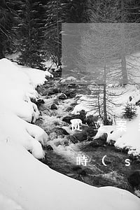 從立案到作出行政處罰多長(zhǎng)時(shí)間