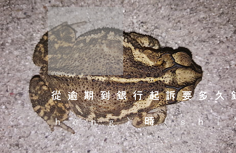 從逾期到銀行起訴要多久 銀行逾期多長(zhǎng)時(shí)間會(huì)被起訴