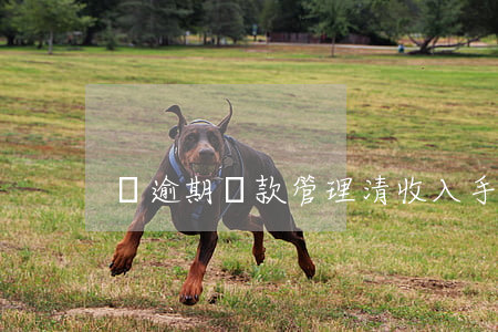 從逾期貸款管理清收入手
