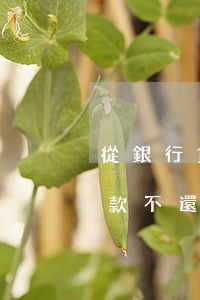 從銀行貸款還不上會有什么后果-從銀行貸款不還,銀行怎么處理