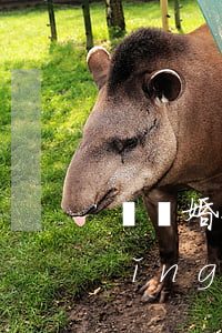 從離婚到領(lǐng)證要多久(剛領(lǐng)證多久可以離婚)