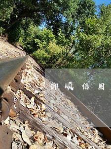 御顺信用卡逾期(御顺信用卡逾期)