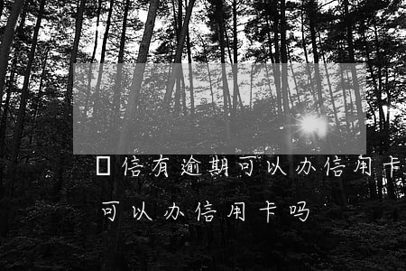 徢信有逾期可以办信用卡吗(信用卡逾期后还可以办信用卡吗)