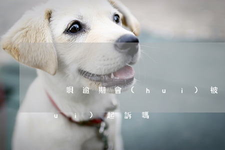 徣唄逾期會(huì)被起訴嗎(還唄會(huì)起訴嗎)