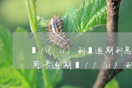 復(fù)利與逾期利息的區(qū)別（信用卡逾期復(fù)利算逾期本金嗎）